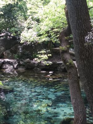 Прикрепленное изображение: IMG_20220507_150114.jpg